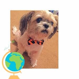 Meet your Posher, Olivia